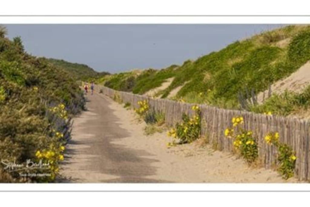 La Baigneuse Maison Avec Jardinet Et Parking Prive, A 200 M Plage Cayeux-sur-Mer Exterior photo